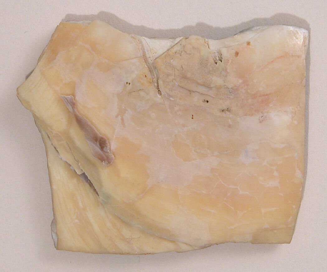 Shell with traces of blue paint, Shell; lapis lazuli pigment