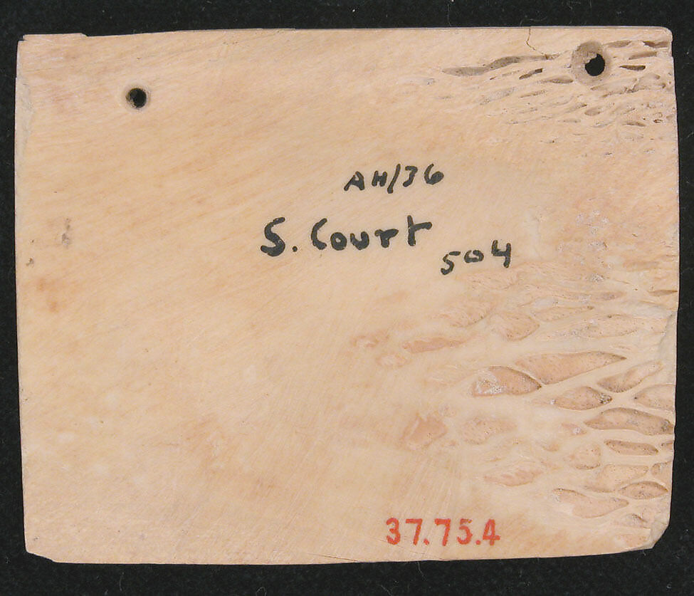 Plaque, Bone; pierced