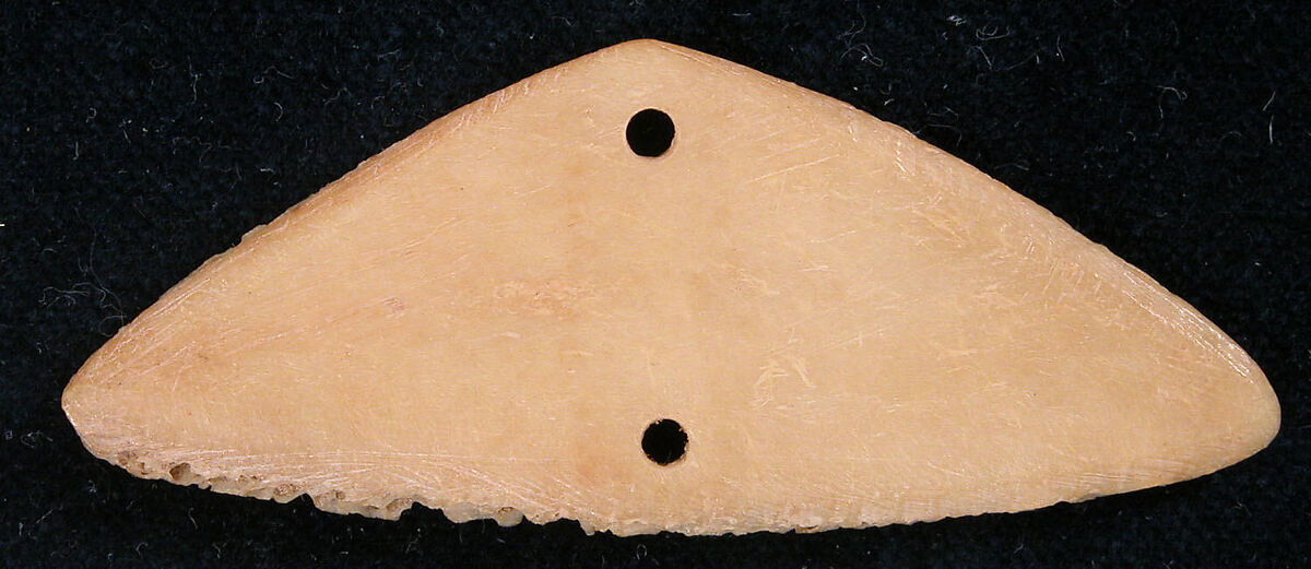 Plaque, Bone; pierced