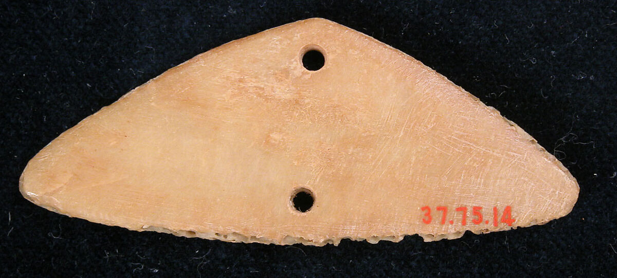 Plaque, Bone; pierced