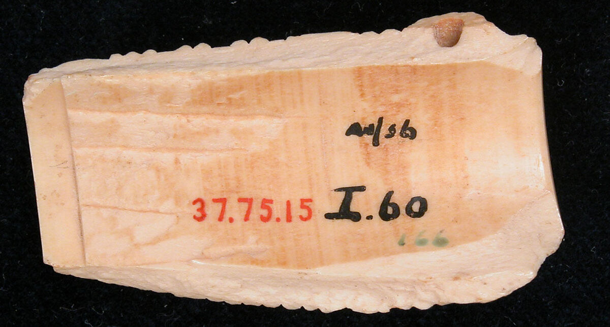 Bone Fragment, Bone; carved and incised