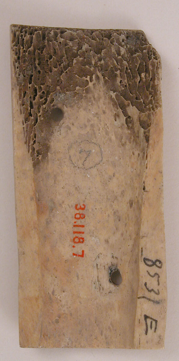Plaque, Bone; carved