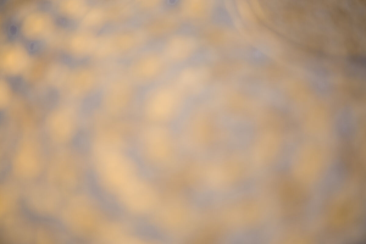 Tughra (Insignia) of Sultan Süleiman the Magnificent (r. 1520–66), Ink, opaque watercolor, and gold on paper