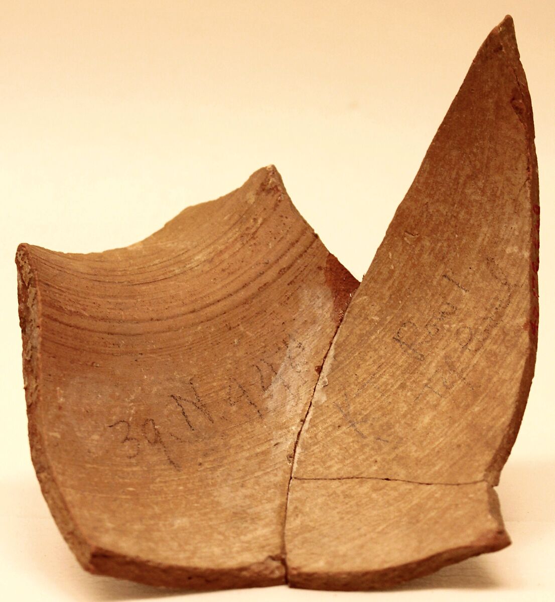 Fragment of a Jar, Earthenware; white slip, black and red slip decoration, glazed