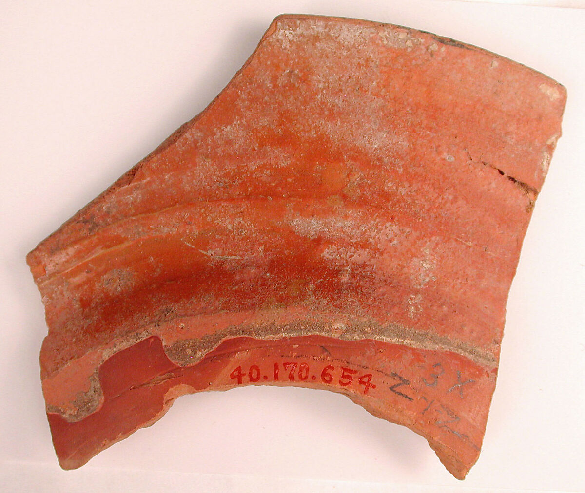 Fragment of Plate with Radish-like Motif, Earthenware; red slip with polychrome slip decoration under transparent glaze