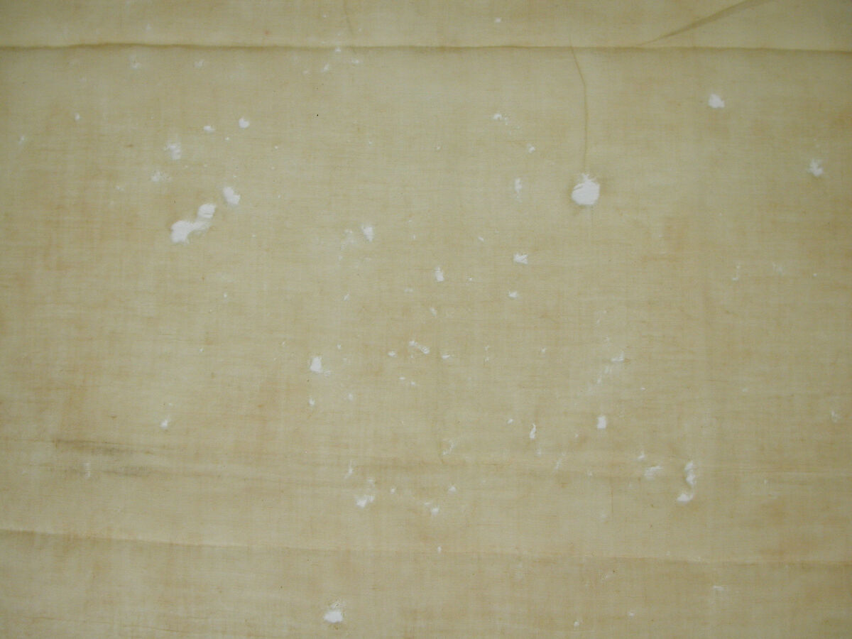 Fragment of Scarf or Cover, Linen, embroidered in silk and metal wrapped thread