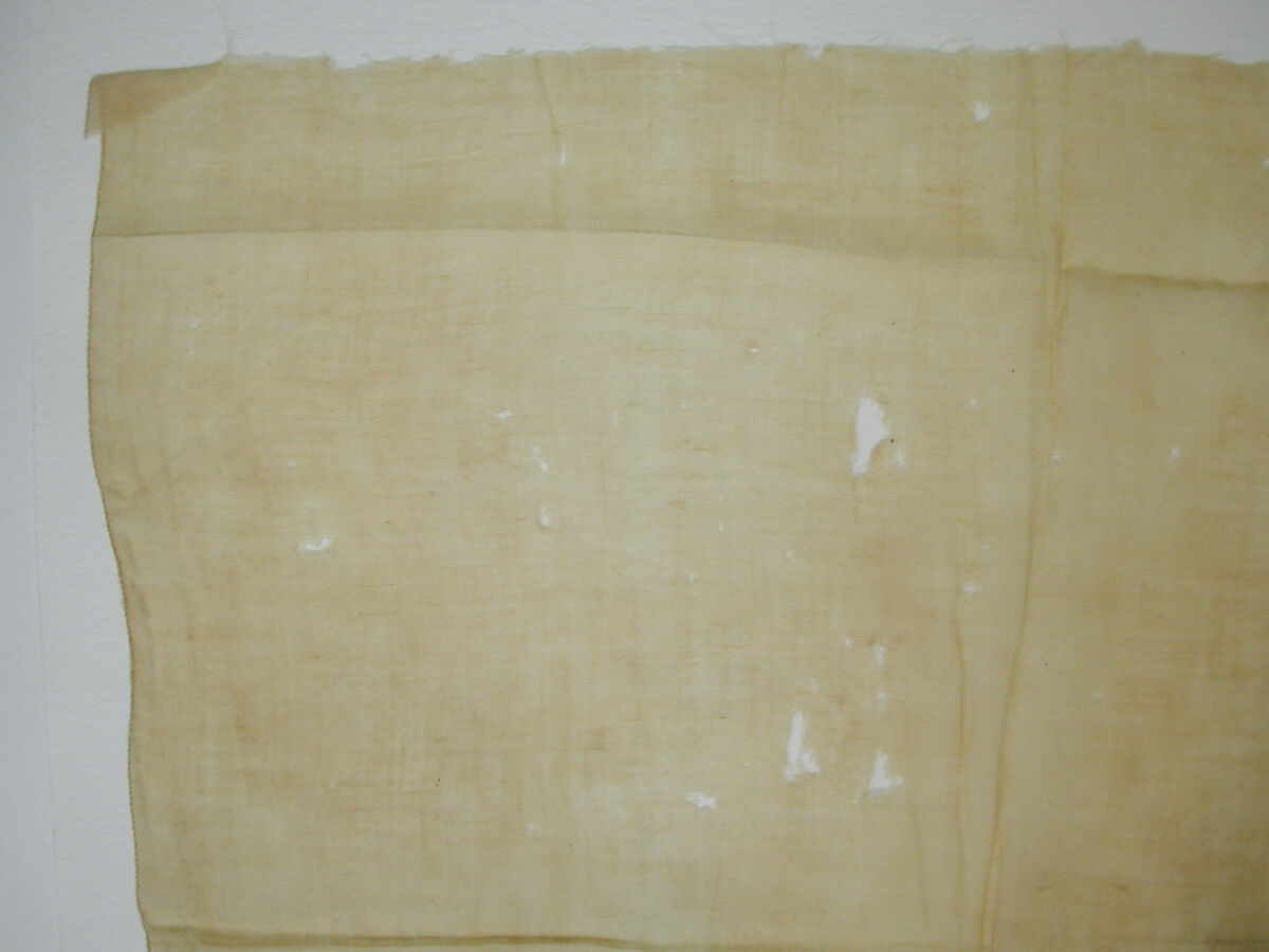 Fragment of Scarf or Cover, Linen, embroidered in silk and metal wrapped thread