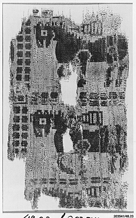 Textile Fragment with Horses, Wool, cotton; taqueté