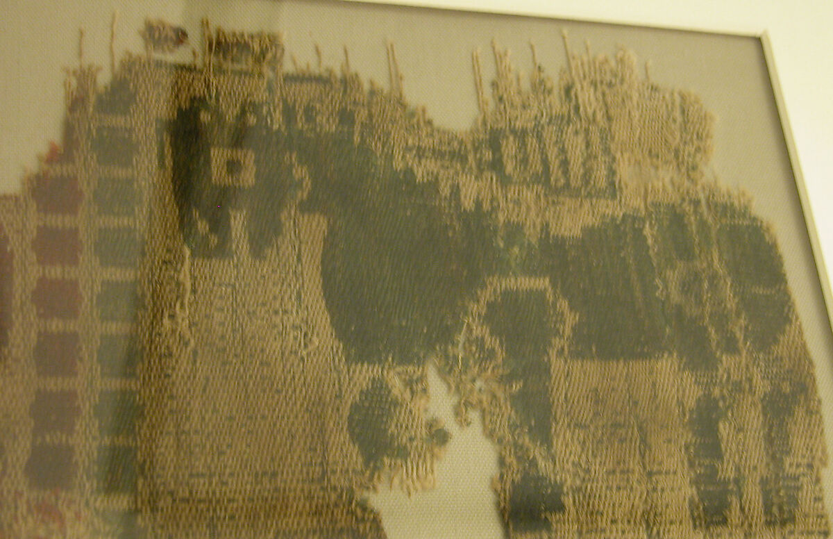 Textile Fragment with Horses, Wool, cotton; taqueté