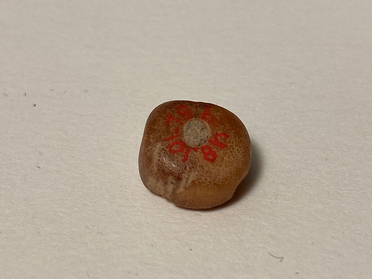 Bead, Stone (?)