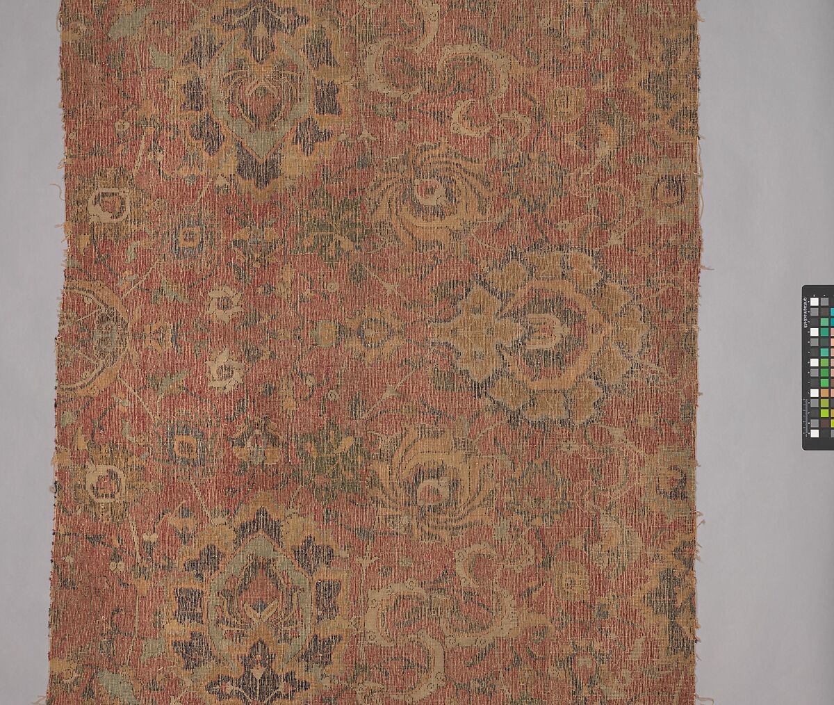 Carpet Fragment, Wool (warp, weft and pile); asymmetrically knotted pile