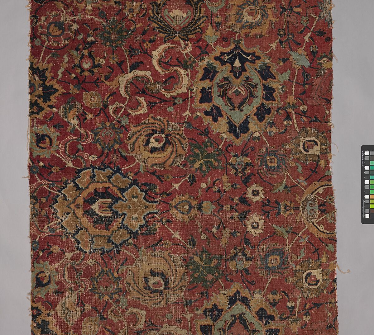 Carpet Fragment, Wool (warp, weft and pile); asymmetrically knotted pile