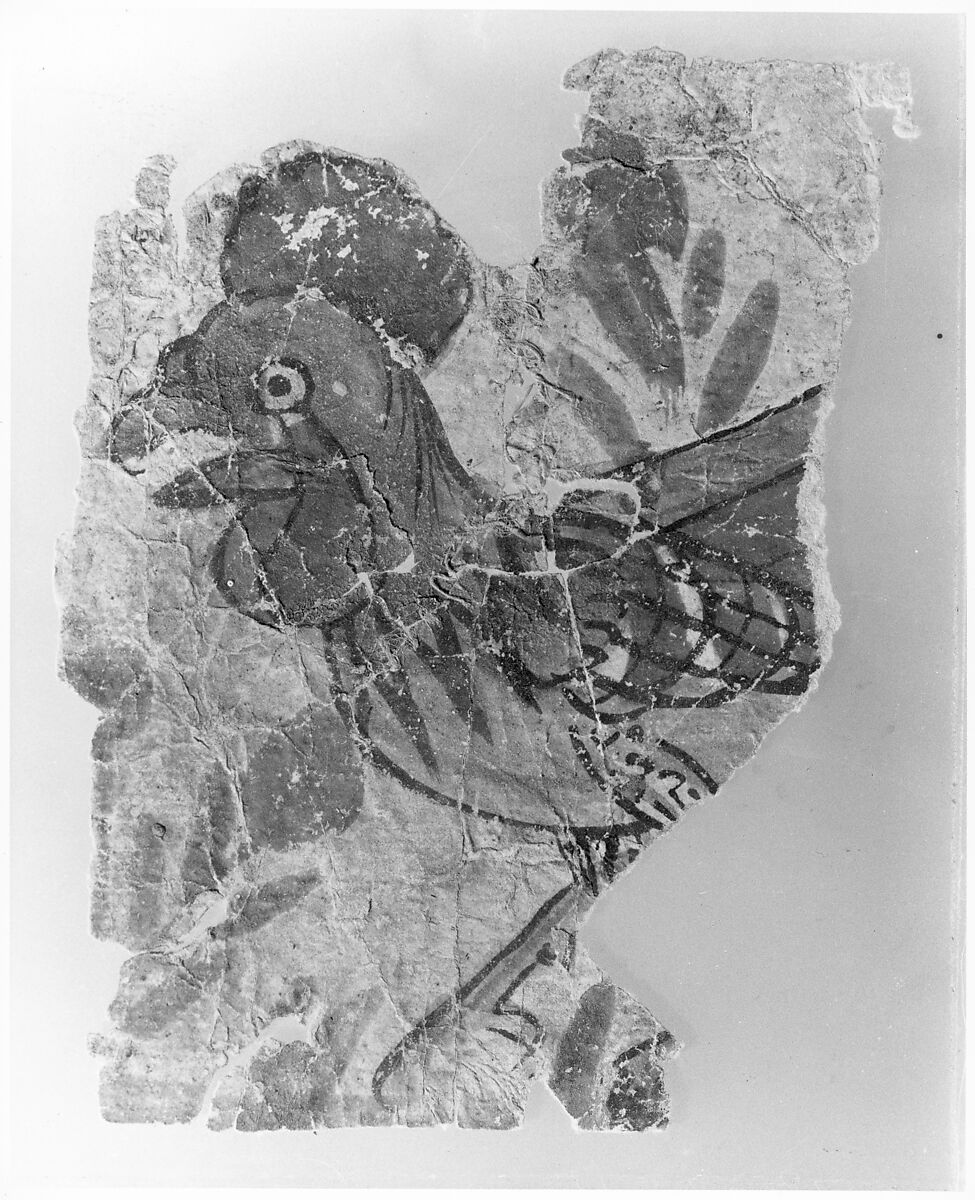 "Rooster", Folio from a Dispersed Manuscript, Opaque watercolor on paper