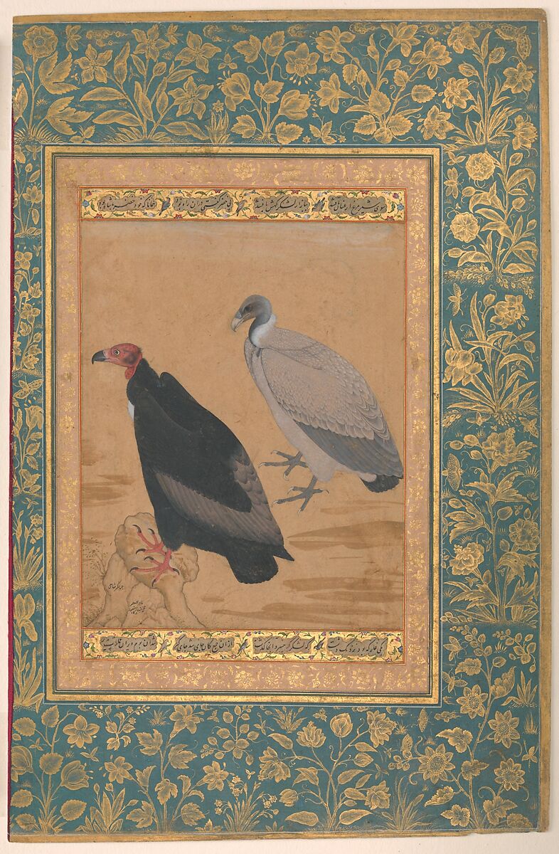 "Red-Headed Vulture and Long-Billed Vulture", Folio from the Shah Jahan Album, Painting by Mansur (active ca. 1589–1626), Ink, opaque watercolor, and gold on paper 