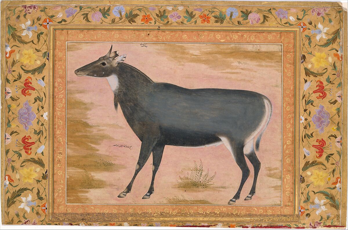 "Study of a Nilgai (Blue Bull)", Folio from the Shah Jahan Album, Painting by Mansur (active ca. 1589–1626), Ink, opaque watercolor, and gold on paper