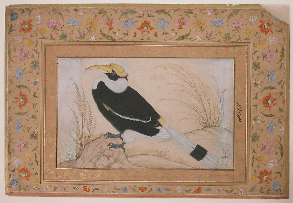 "Great Hornbill", Folio from the Shah Jahan Album, Painting by Mansur (active ca. 1589–1626), Ink, opaque watercolor, and gold on paper