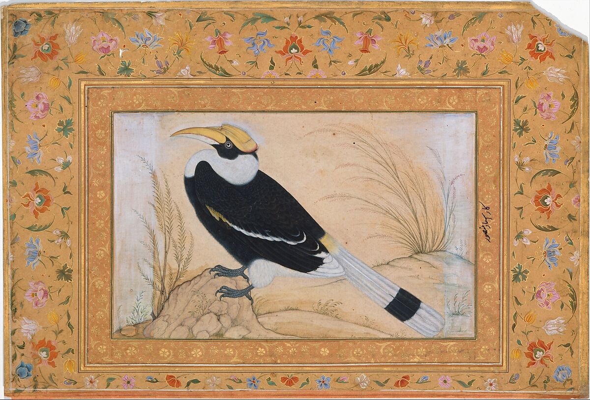 "Great Hornbill", Folio from the Shah Jahan Album, Painting by Mansur (active ca. 1589–1626), Ink, opaque watercolor, and gold on paper