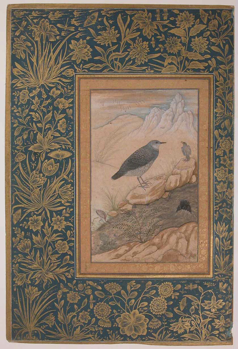 "Diving Dipper and Other Birds", Folio from the Shah Jahan Album, Painting by Mansur (active ca. 1589–1626), Ink, opaque watercolor, and gold on paper