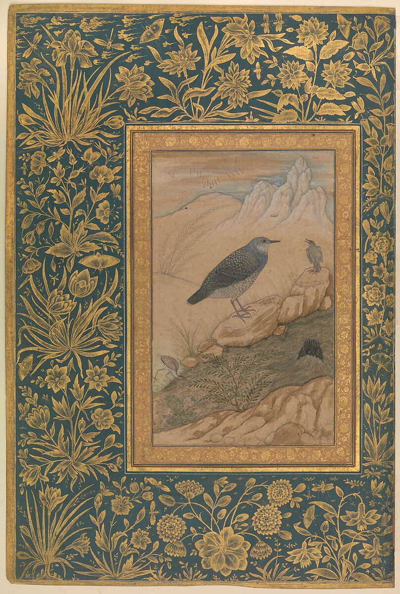"Diving Dipper and Other Birds", Folio from the Shah Jahan Album, Painting by Mansur (active ca. 1589–1626), Ink, opaque watercolor, and gold on paper 