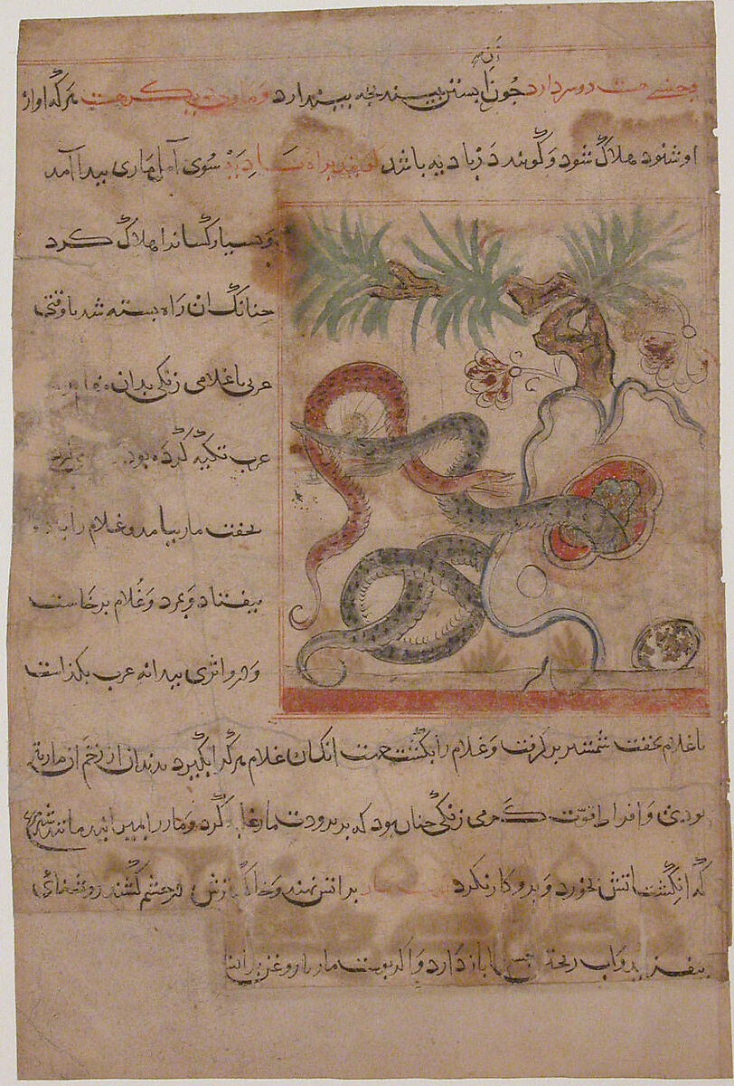 "Pair of Serpents", Folio from a Manafi' al-Hayawan (On the Usefulness of Animals) of Ibn Bakhtishu', Ibn Bakhtishu&#39; (died 1058), Ink, opaque watercolor, and gold on paper 