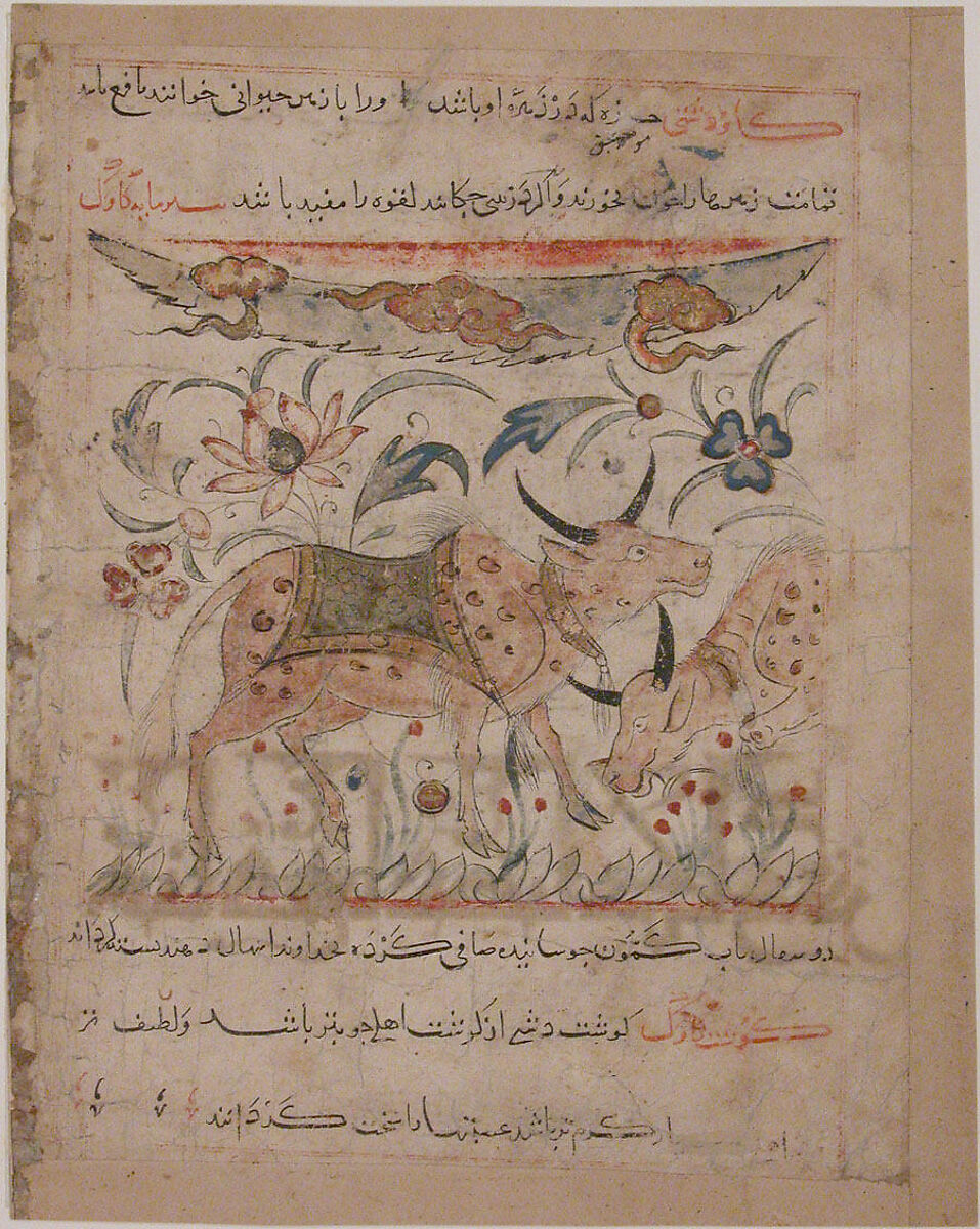 "Oxen amongst Foliage", Folio from a Manafi' al-Hayawan (On the Usefulness of Animals) of Ibn Bakhtishu', Ibn Bakhtishu&#39; (died 1058), Ink, opaque watercolor, and gold on paper 