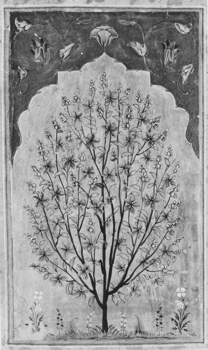 Flowering Tree, Opaque watercolor and gold on paper