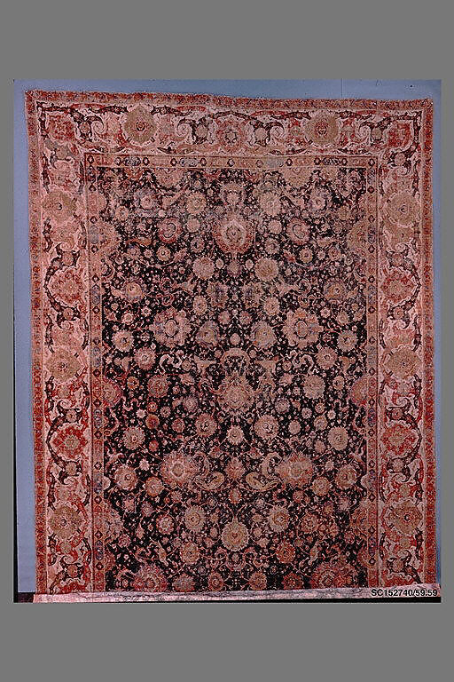 Carpet, Cotton (warp and weft), wool (pile); asymmetrically knotted pile