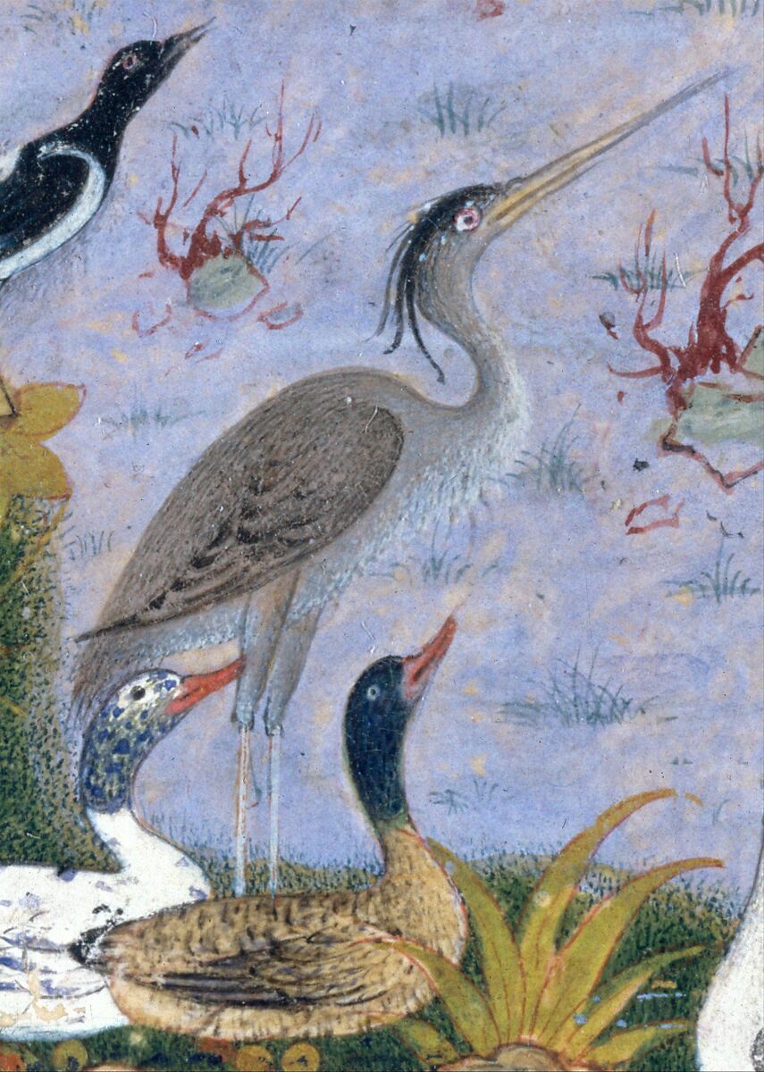 "The Concourse of the Birds", Folio 11r from a Mantiq al-Tayr (Language of the Birds), Painting by Habiballah of Sava (Iranian, active ca. 1590–1610), Ink, opaque watercolor, gold, and silver on paper