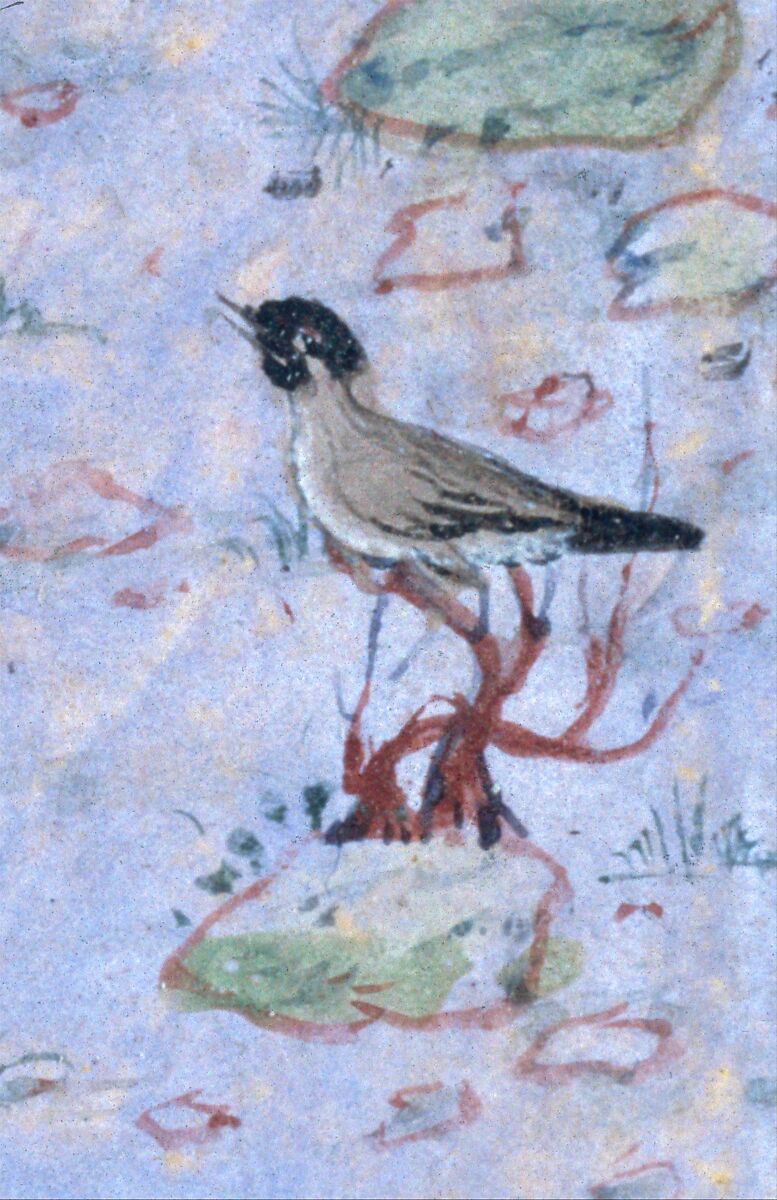 "The Concourse of the Birds", Folio 11r from a Mantiq al-Tayr (Language of the Birds), Painting by Habiballah of Sava (Iranian, active ca. 1590–1610), Ink, opaque watercolor, gold, and silver on paper