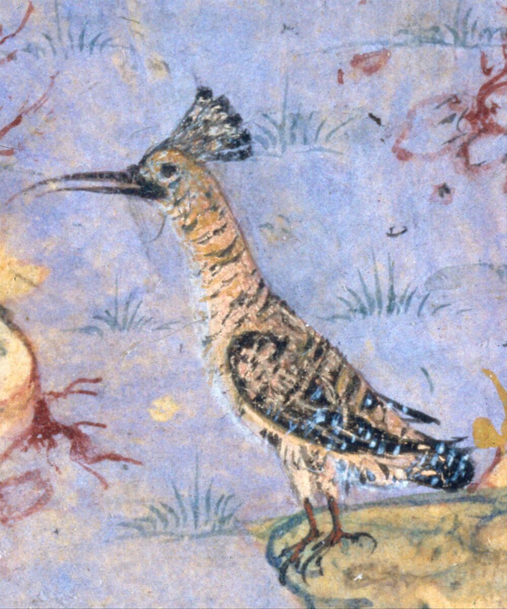 Attar of Nishapur The Conference of the Birds Hawk Farid udDin Attar Modern Farsi Art