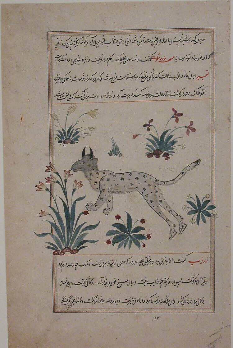Folio from a Bestiary and Herbal, Opaque watercolor and gold on paper 