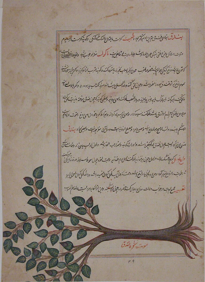 Folio from a Bestiary and Herbal, Opaque watercolor and gold on paper