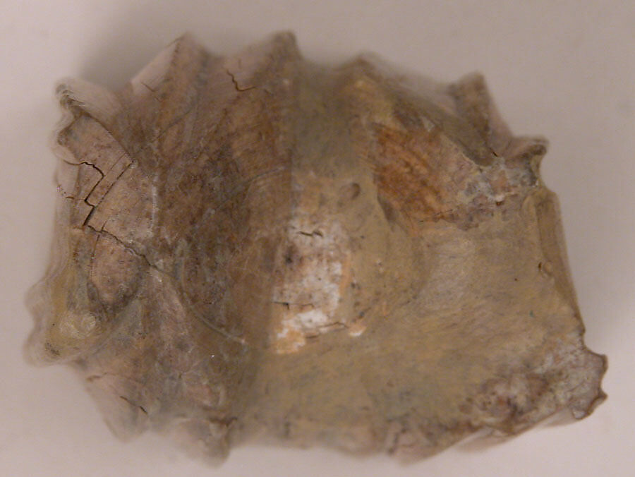 Chess Piece, King, Ivory