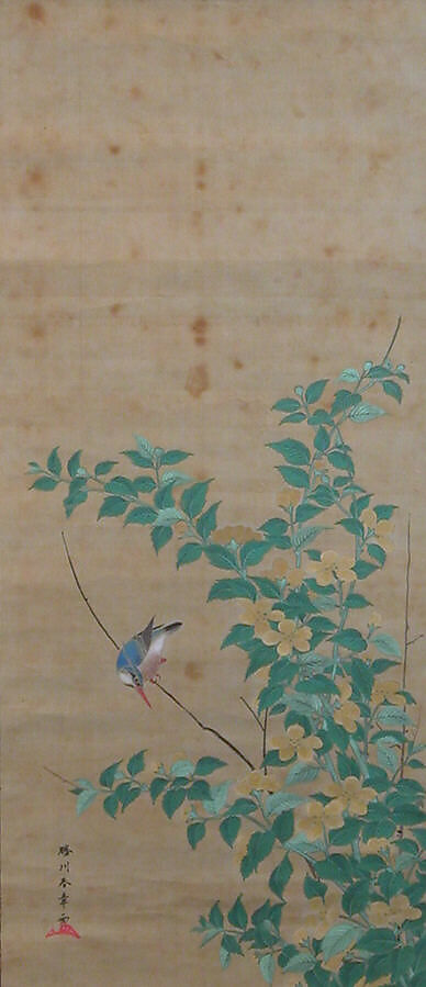 Kingfisher on a Branch of Yamabuki, Katsukawa Shunshō　勝川春章 (Japanese, 1726–1792), Hanging scroll; ink and color on silk, Japan 