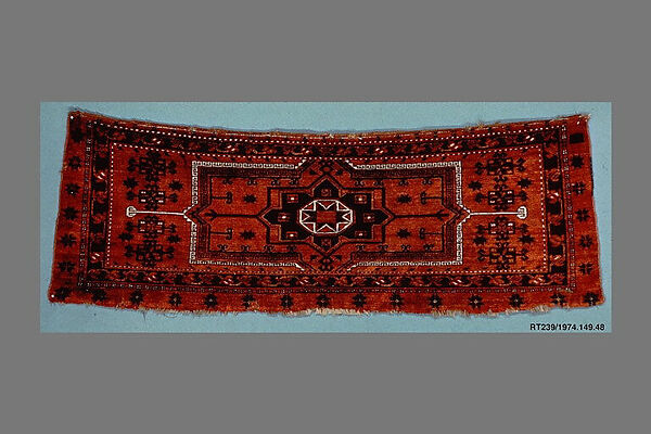 Storage Bag Fragment, Wool (warp, weft and pile), cotton (pile); asymmetrically knotted pile