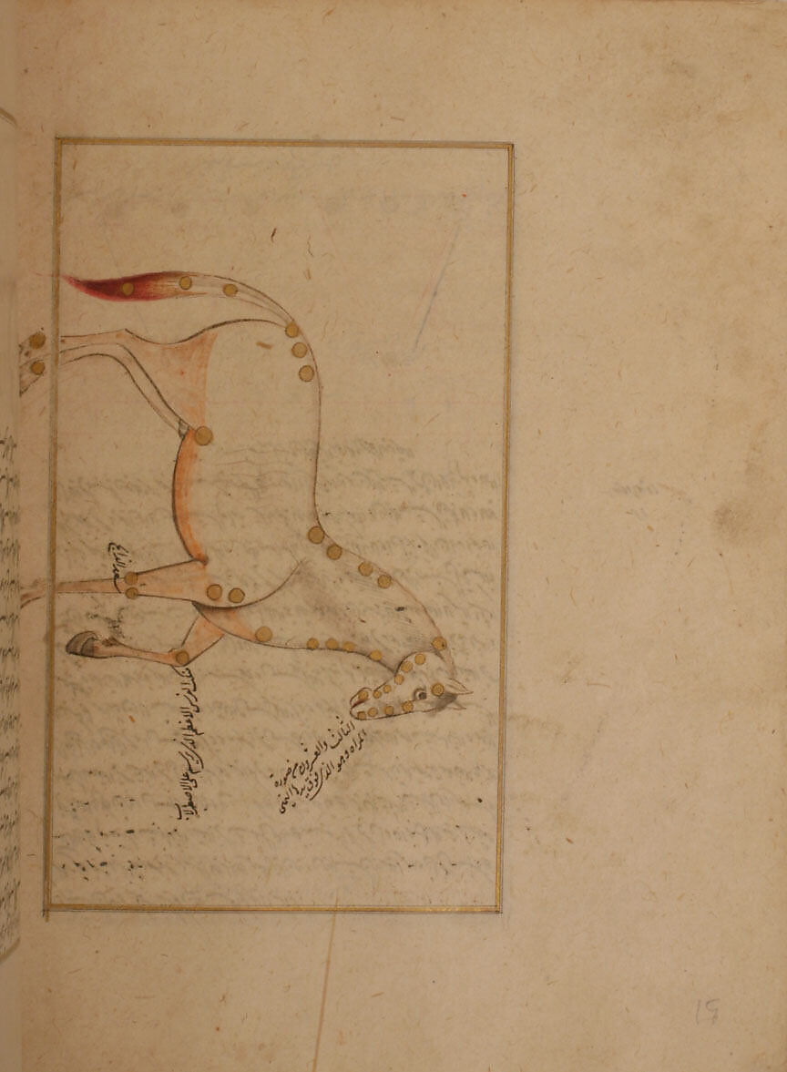 Kitab suwar al-kawakib al-thabita (Book of the Images of the Fixed Stars) of al-Sufi, `Abd al-Rahman al-Sufi (Iranian, Rey 903–986 Shiraz), Ink, opaque watercolor, and gold on paper