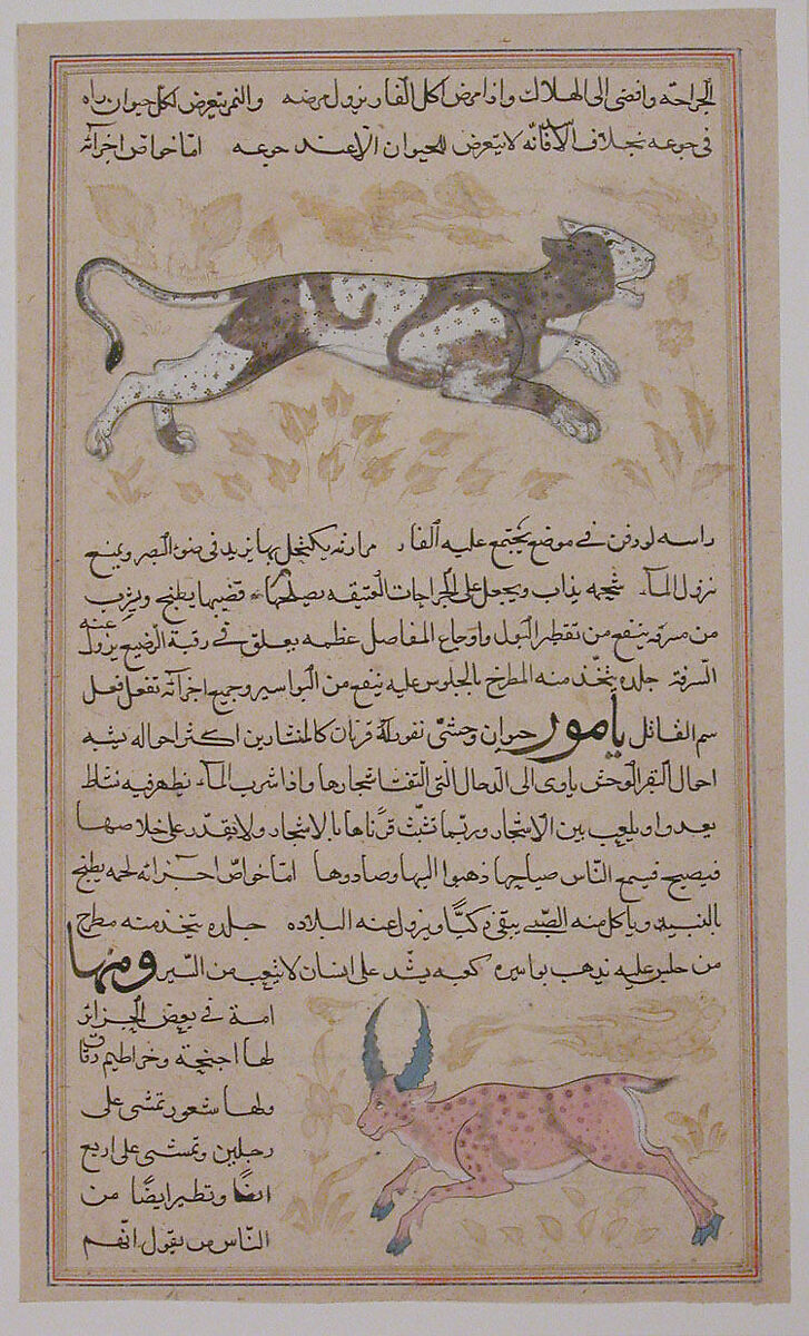 Folio from a `Aja'ib al-Makhluqat wa Ghara'ib al-Mawjudat (The Wonders of Creation and the Oddities of Existence), Zakaria bin Muhammad bin Mahmud Abu Yahya Qazwini (ca. 1203–83), Ink, opaque watercolor, and gold on paper 