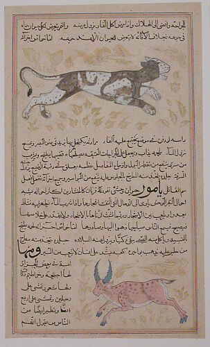 Folio from a `Aja'ib al-Makhluqat wa Ghara'ib al-Mawjudat (The Wonders of Creation and the Oddities of Existence)