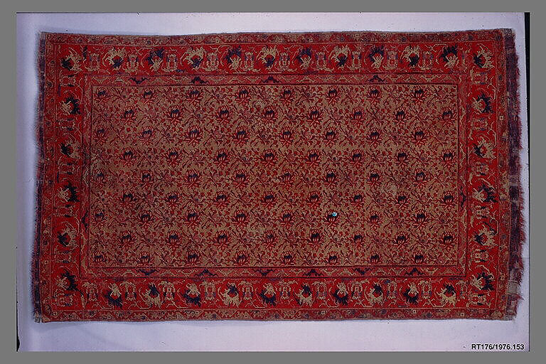 Carpet, Wool (warp, weft, and pile); symmetrically knotted pile
