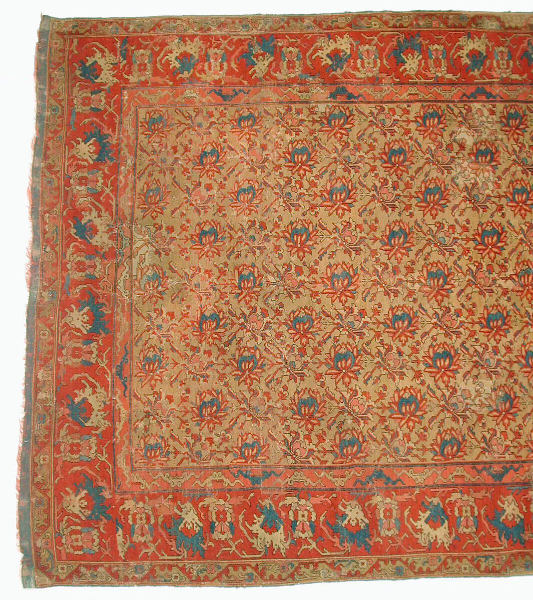 Carpet, Wool (warp, weft, and pile); symmetrically knotted pile