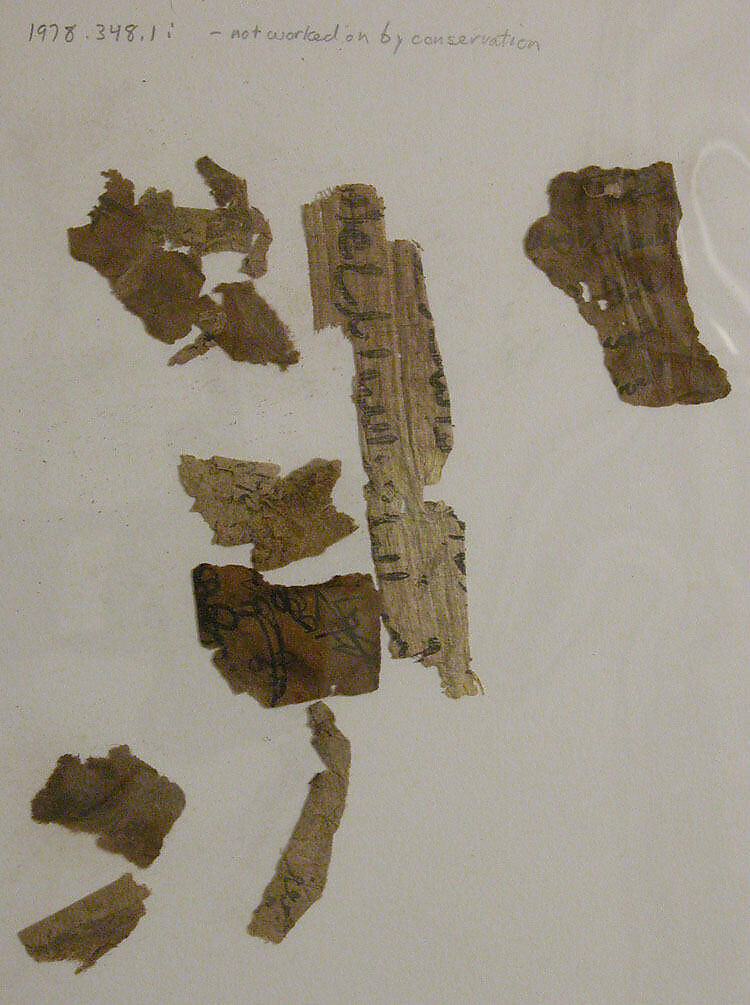 Calligraphic Papyrus Fragments, Ink on papyrus