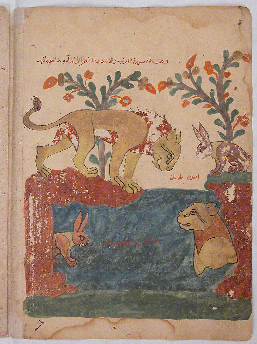 "The Hare, the Lion, and the Well", Folio from a Kalila wa Dimna, Ink and opaque watercolor on paper