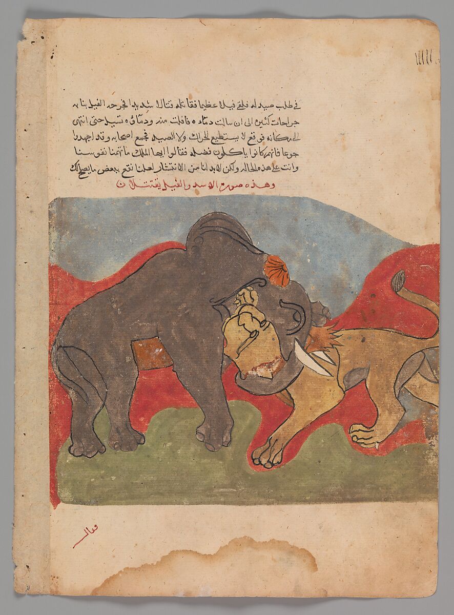 "The Lion and the Elephant Fighting", Folio from a Kalila wa Dimna, Ink and opaque watercolor on paper 