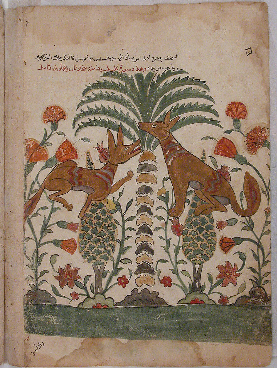 "Kalila Upbraiding Dimna", Folio from a Kalila wa Dimna, Ink and opaque watercolor on paper