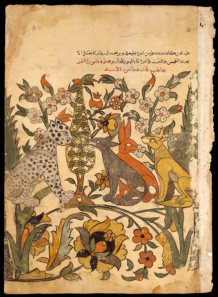 Leopard Bearing Lion's Order to Fellow Judges