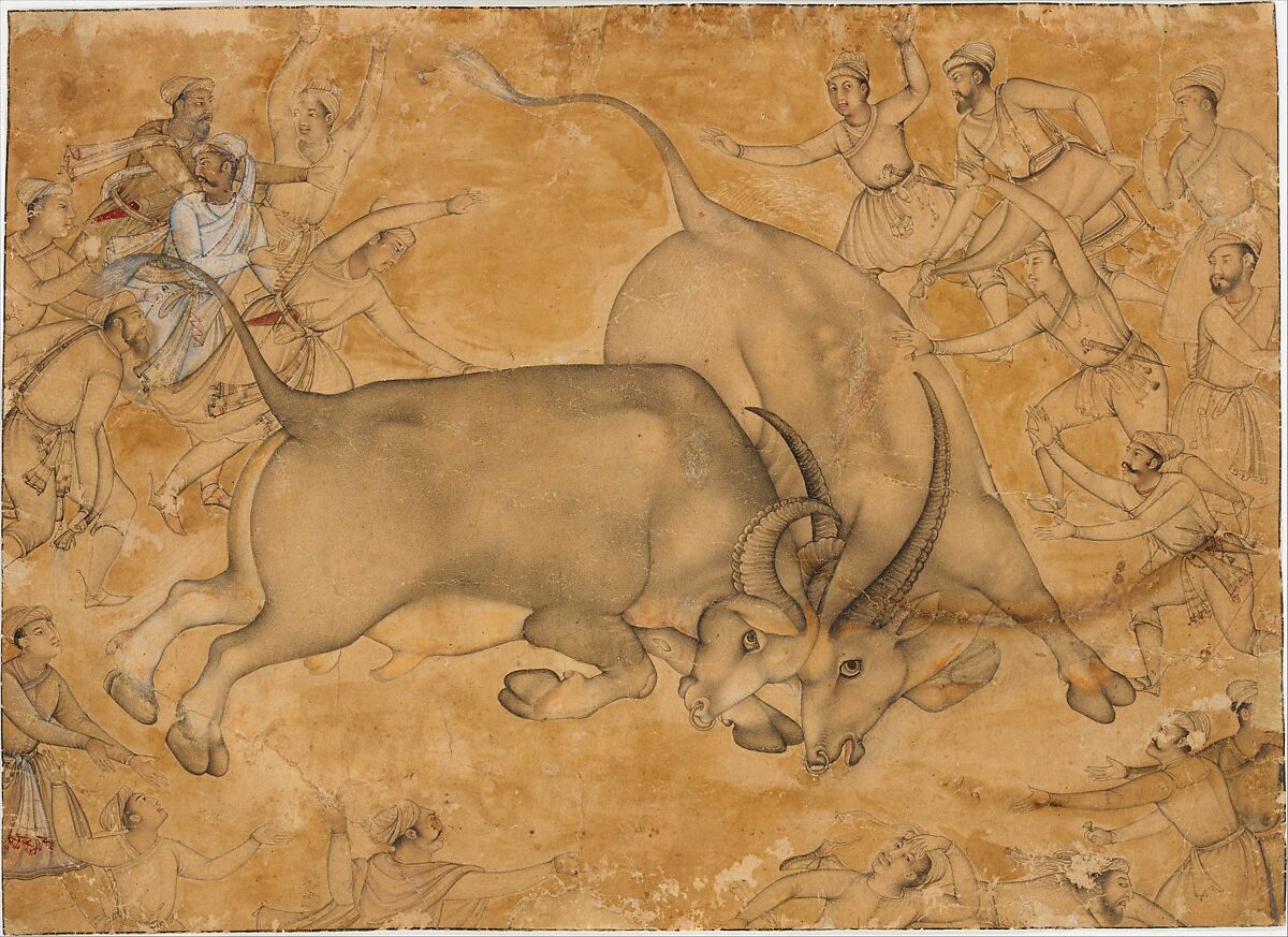 Buffaloes in Combat, Attributed to Miskin (active ca. 1570–1604), Ink, watercolor, and gold on paper