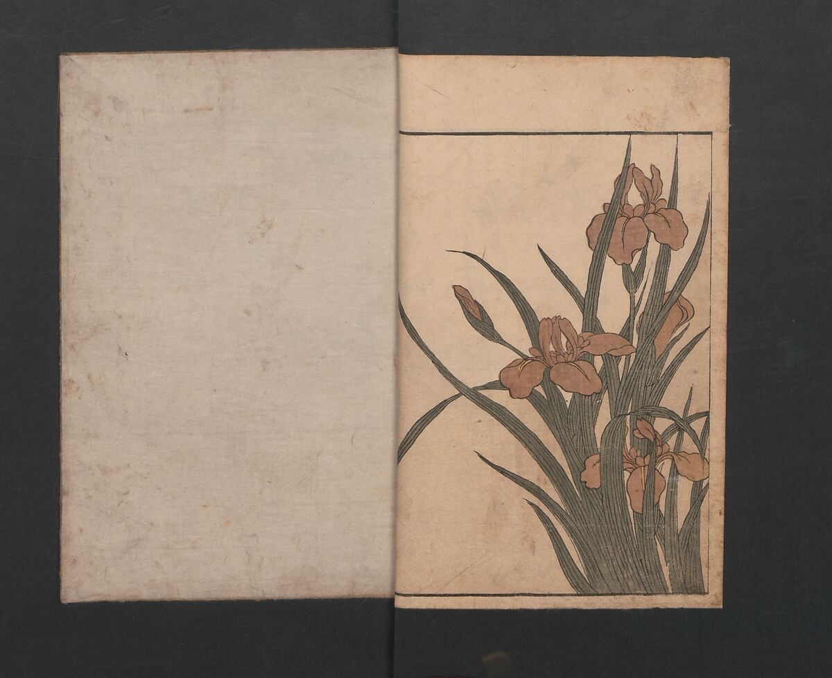 Picture Book of Flowers of the Four Seasons (Ehon shiki no hana) 絵本四季花, Kitagawa Utamaro 喜多川歌麿 (Japanese, ca. 1754–1806), Set of two polychrome woodblock printed books; ink and color on paper, Japan
