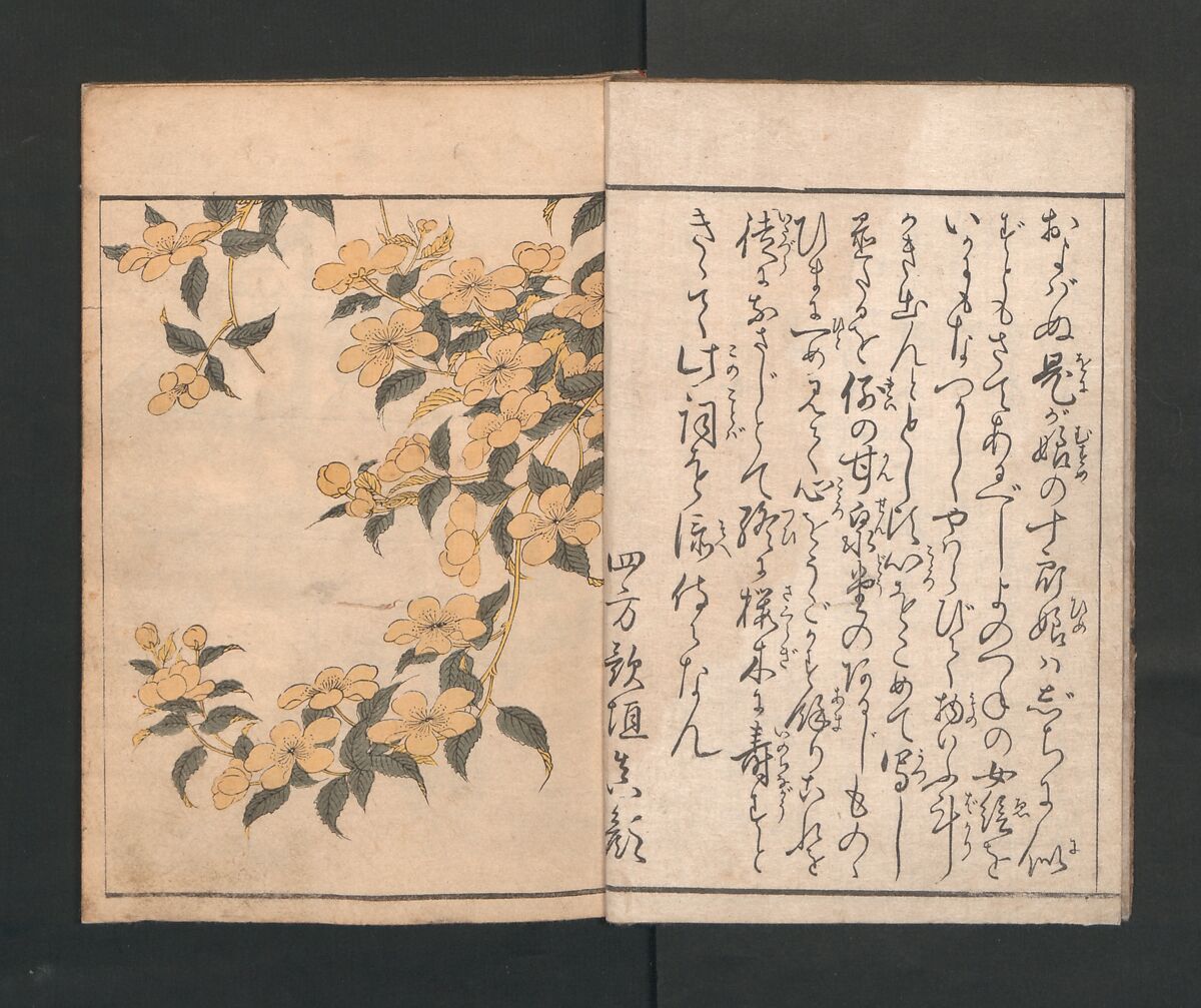 Picture Book of Flowers of the Four Seasons (Ehon shiki no hana) 絵本四季花, Kitagawa Utamaro 喜多川歌麿 (Japanese, ca. 1754–1806), Set of two polychrome woodblock printed books; ink and color on paper, Japan