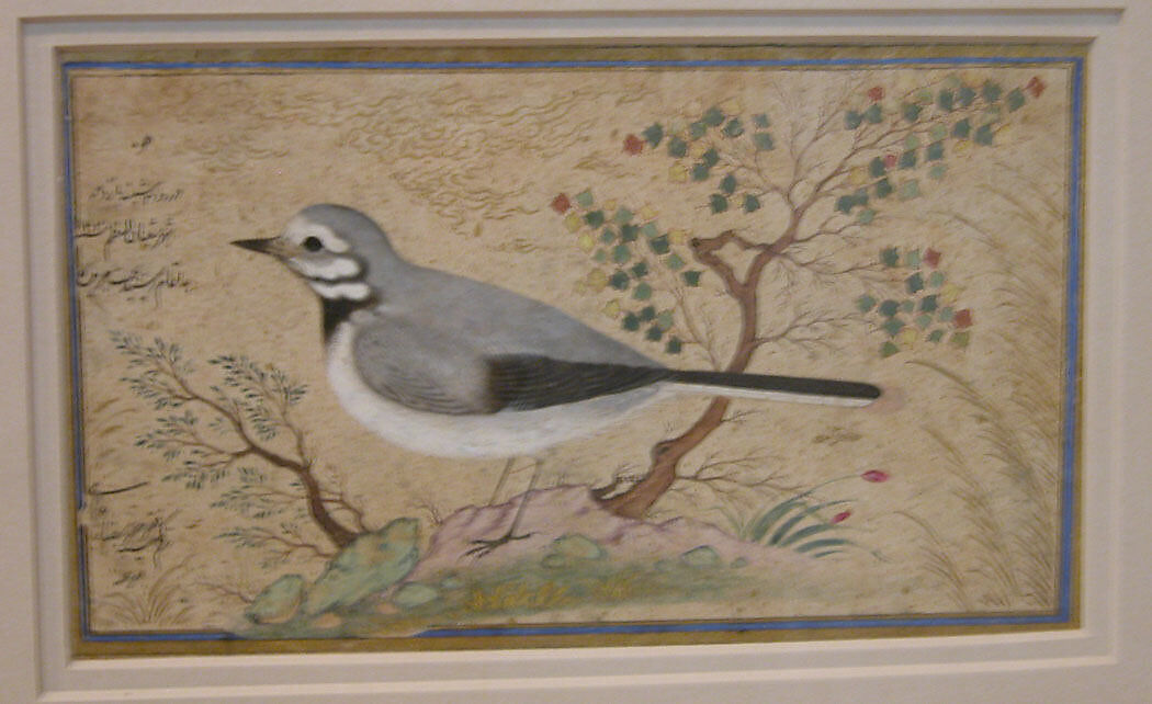 Study of a Bird, Painting by Riza-yi 'Abbasi (Iranian, ca. 1565–d. 1635), Ink, opaque watercolor, gold, and silver on paper