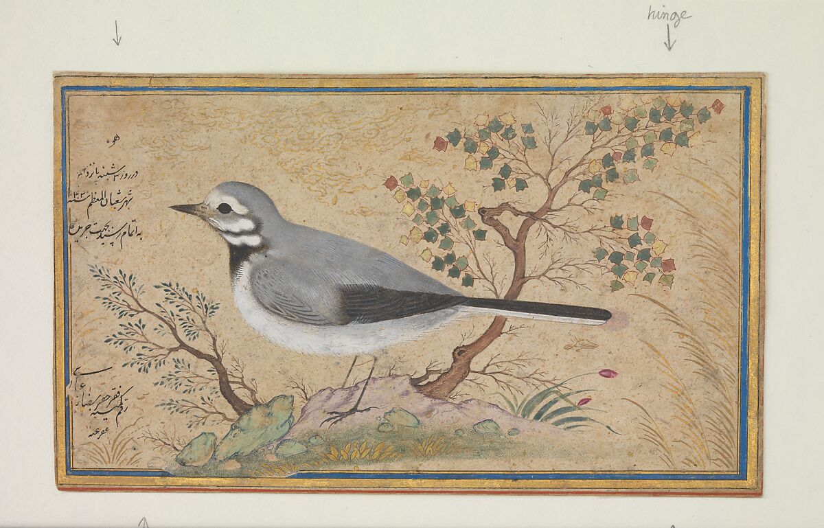 Study of a Bird, Painting by Riza-yi &#39;Abbasi (Iranian, ca. 1565–d. 1635), Ink, opaque watercolor, gold, and silver on paper 
